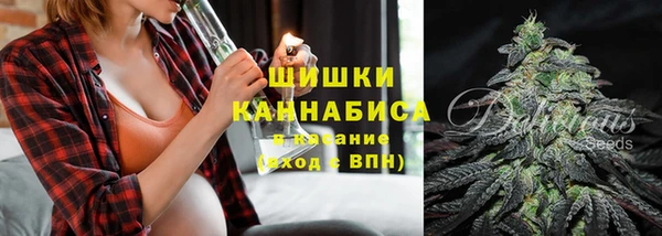 СК Санкт-Петербург